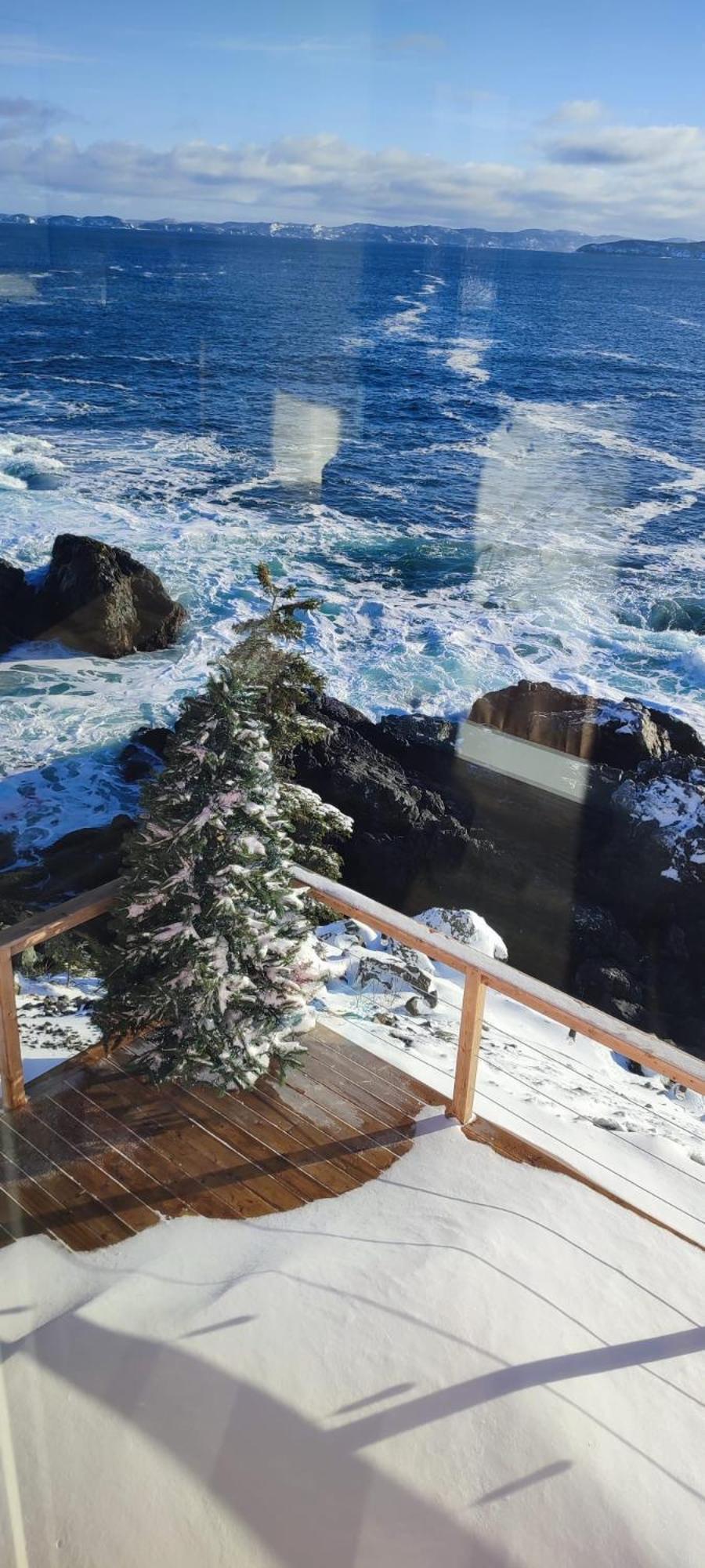 Pilley's Island The View Suites And Breakfast In Triton, Newfoundland מראה חיצוני תמונה