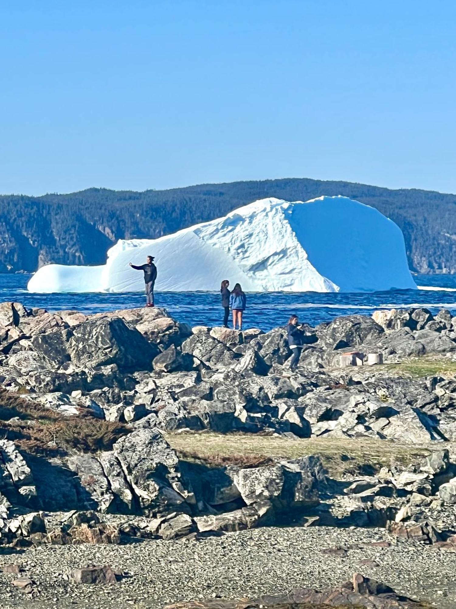Pilley's Island The View Suites And Breakfast In Triton, Newfoundland מראה חיצוני תמונה
