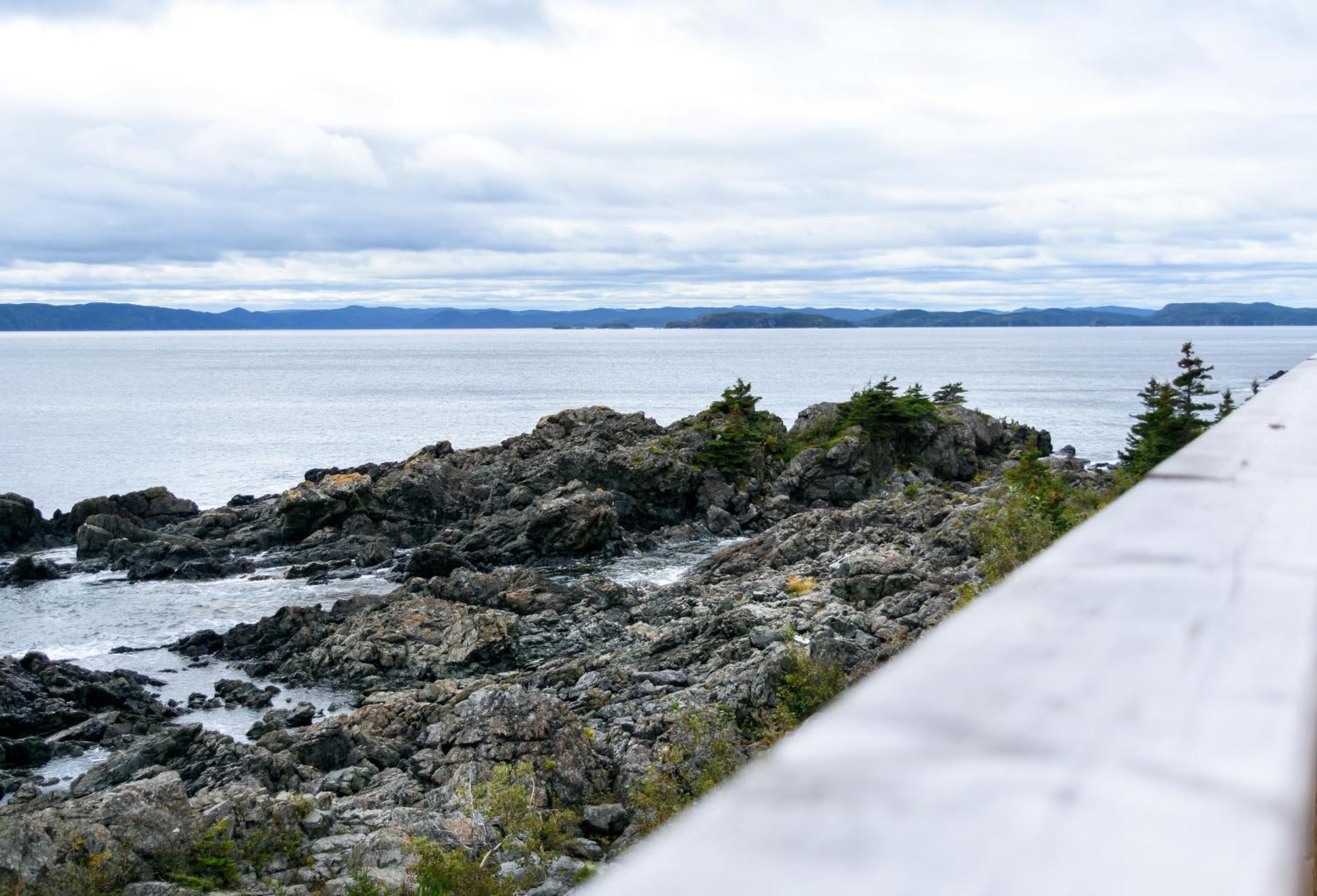 Pilley's Island The View Suites And Breakfast In Triton, Newfoundland מראה חיצוני תמונה